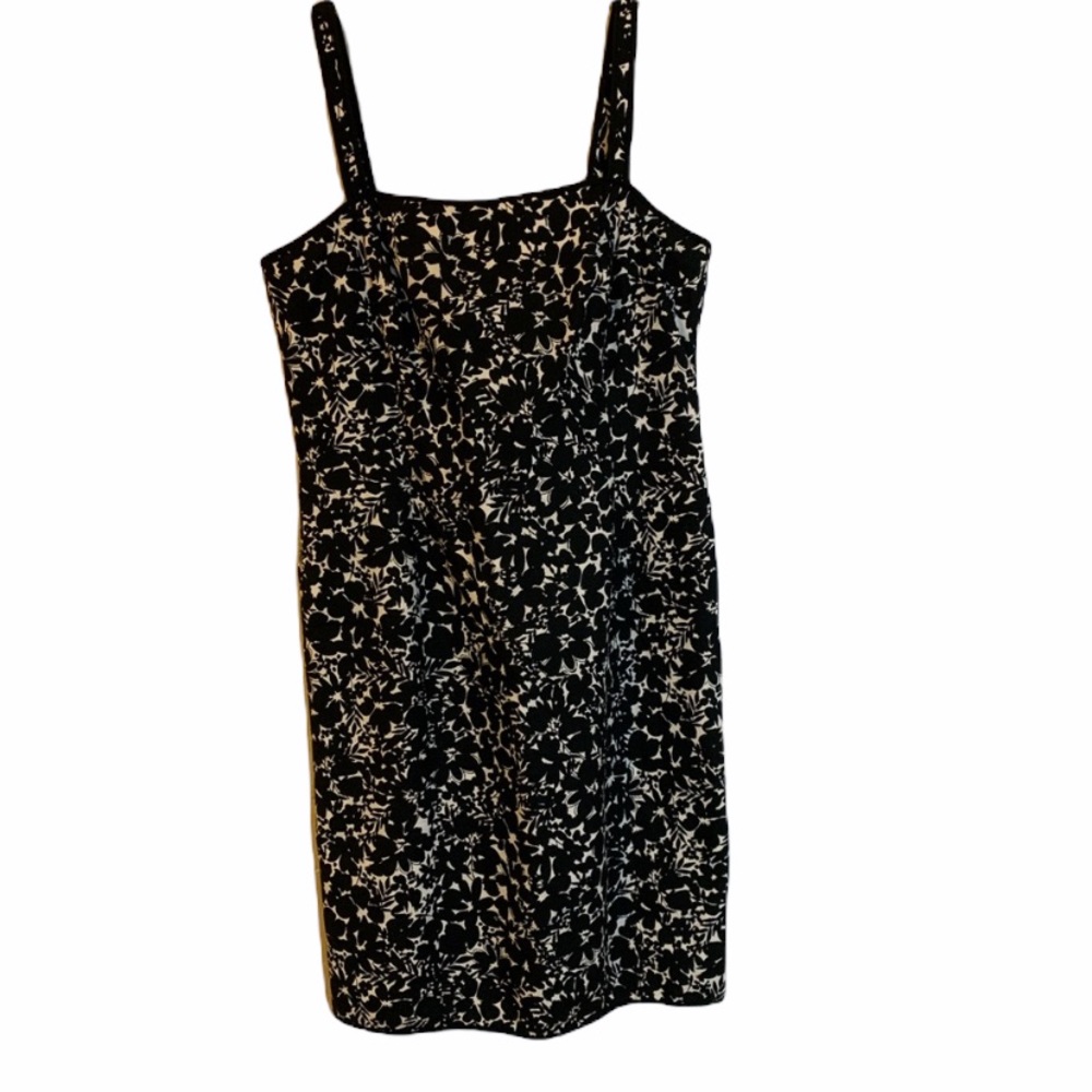 Ann Taylor dress 10p